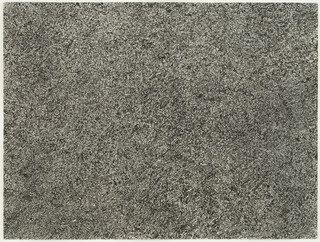 Epidermis (épiderme) — Jean Philippe Arthur Dubuffet