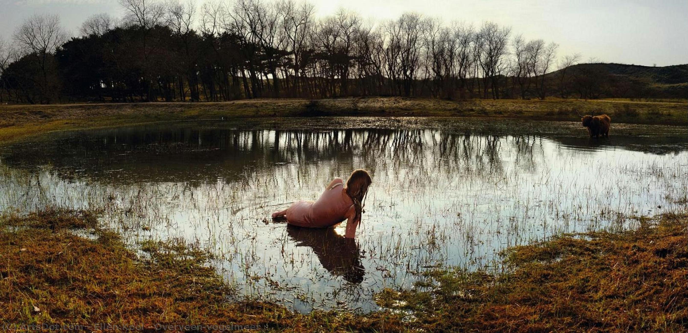 Overveen-vogelmeer — Ellen Kooi