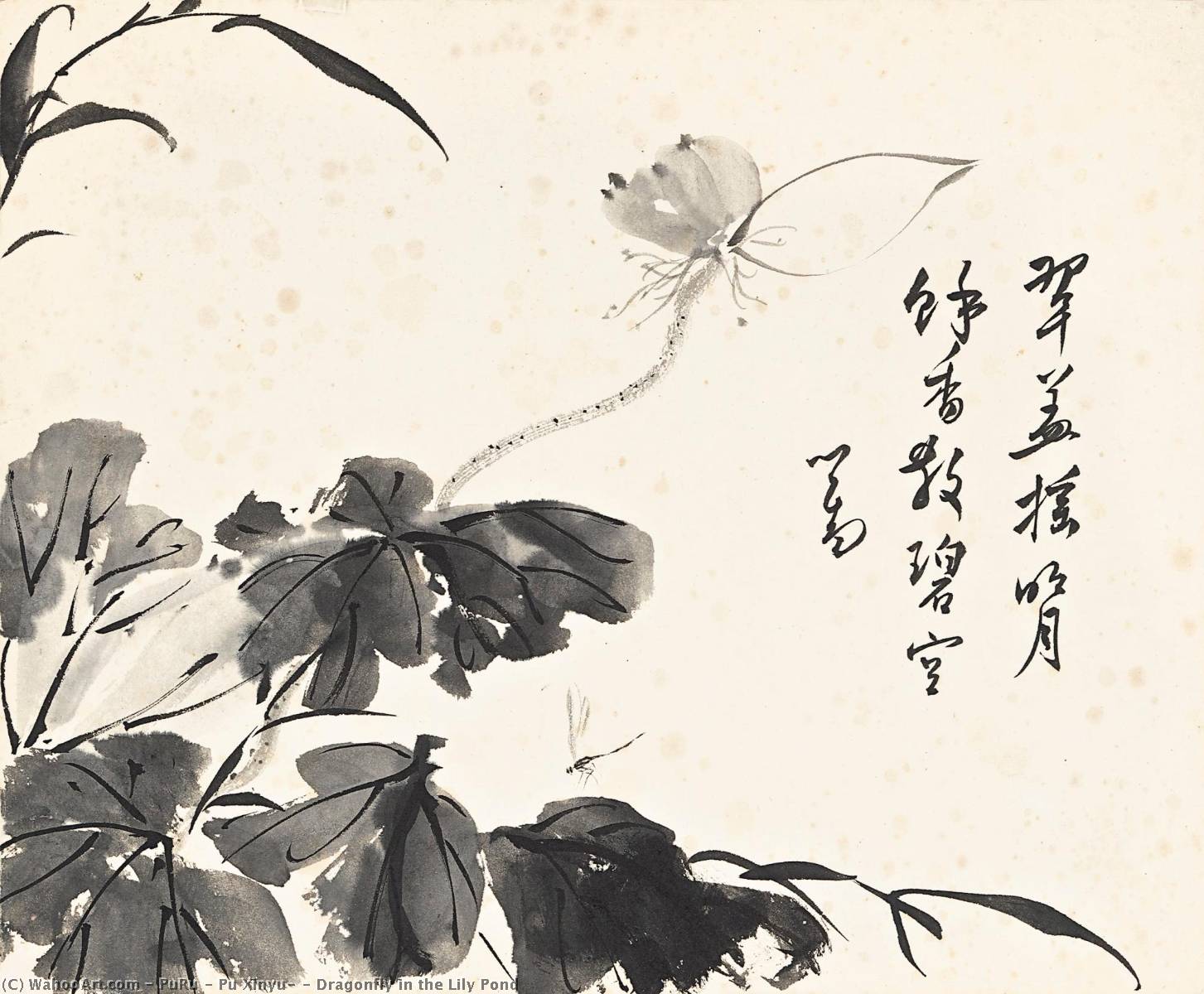 Dragonfly In The Lily Pond — Puru ( Pu Xinyu)