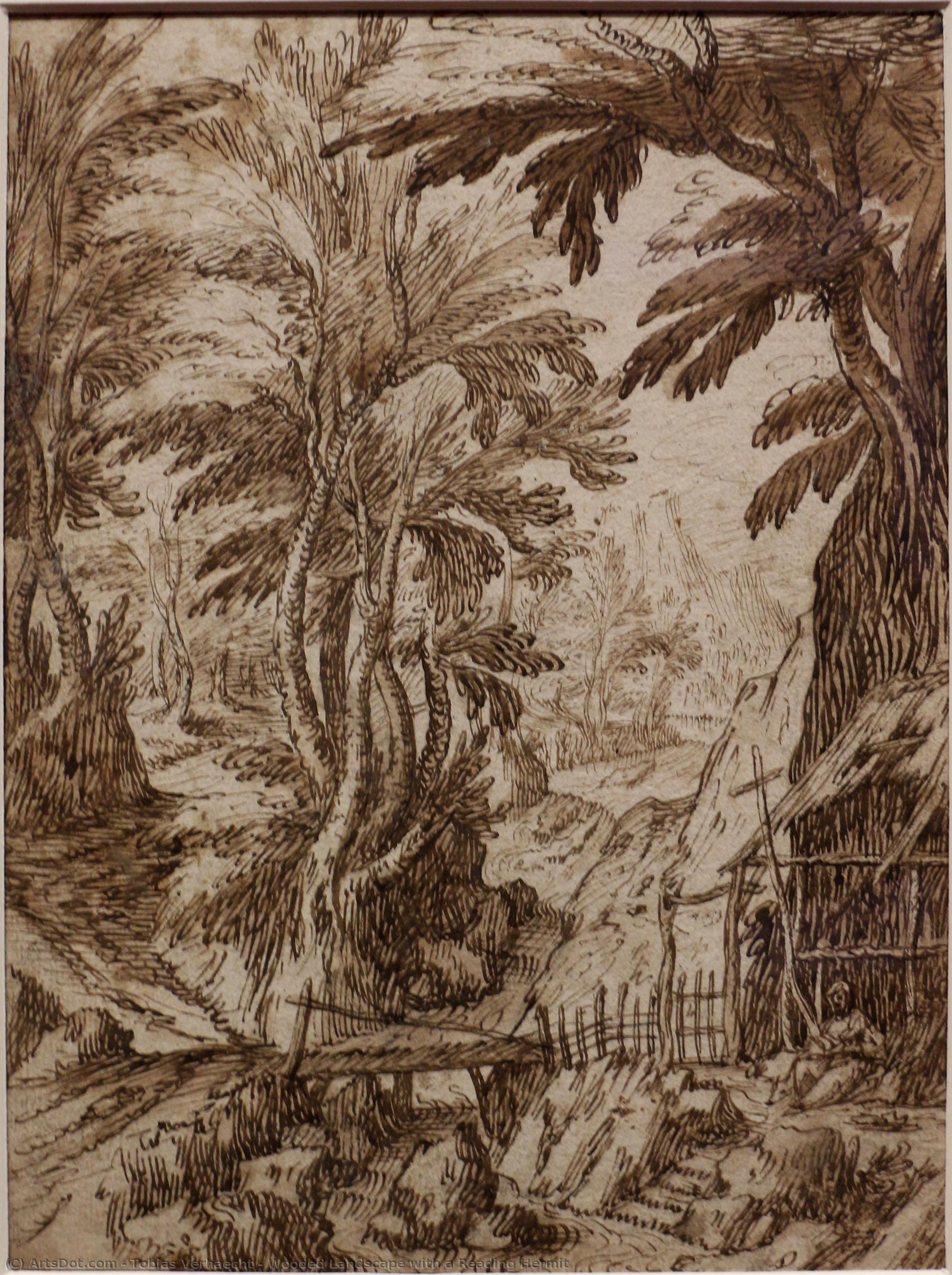 Wooded Landscape With A Reading Hermit — Tobias Verhaecht
