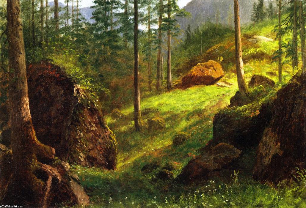 Wooded Hillside — Алберт Бирштадт