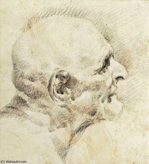 Un Vieillard, En Buste, De Profil À Droite — Giambattista Tiepolo