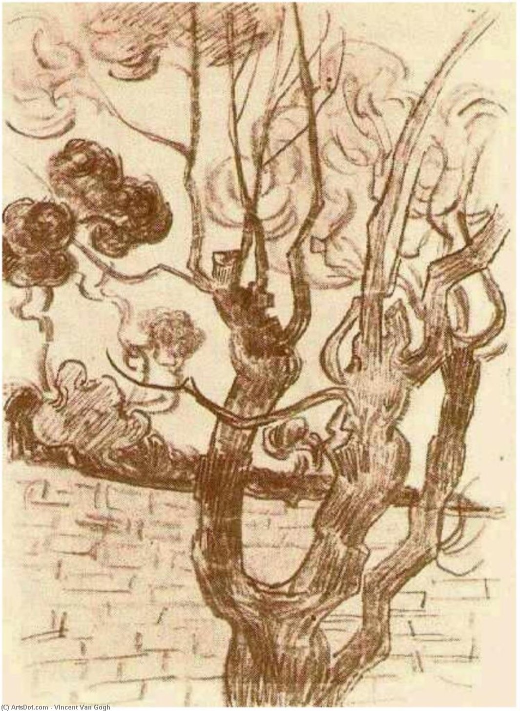 Treetop Seen Against The Wall Of The Asylum — Vincent Willem Van Gogh