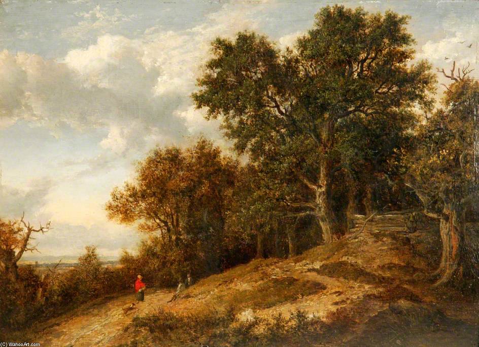 Wooded Landscape With Distant View — Патрик Нэсмит