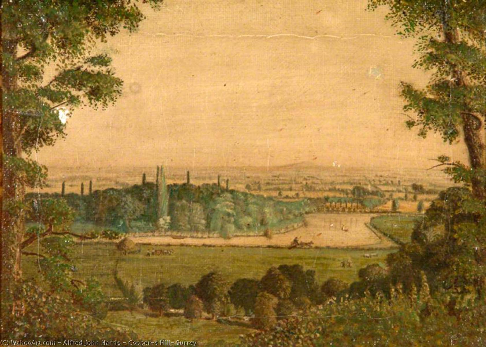 Cooper's Hill, Surrey — Alfred John Harris