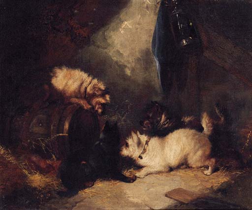 Terriers Ratting In A Barn - — Джордж Армфилд (смит)