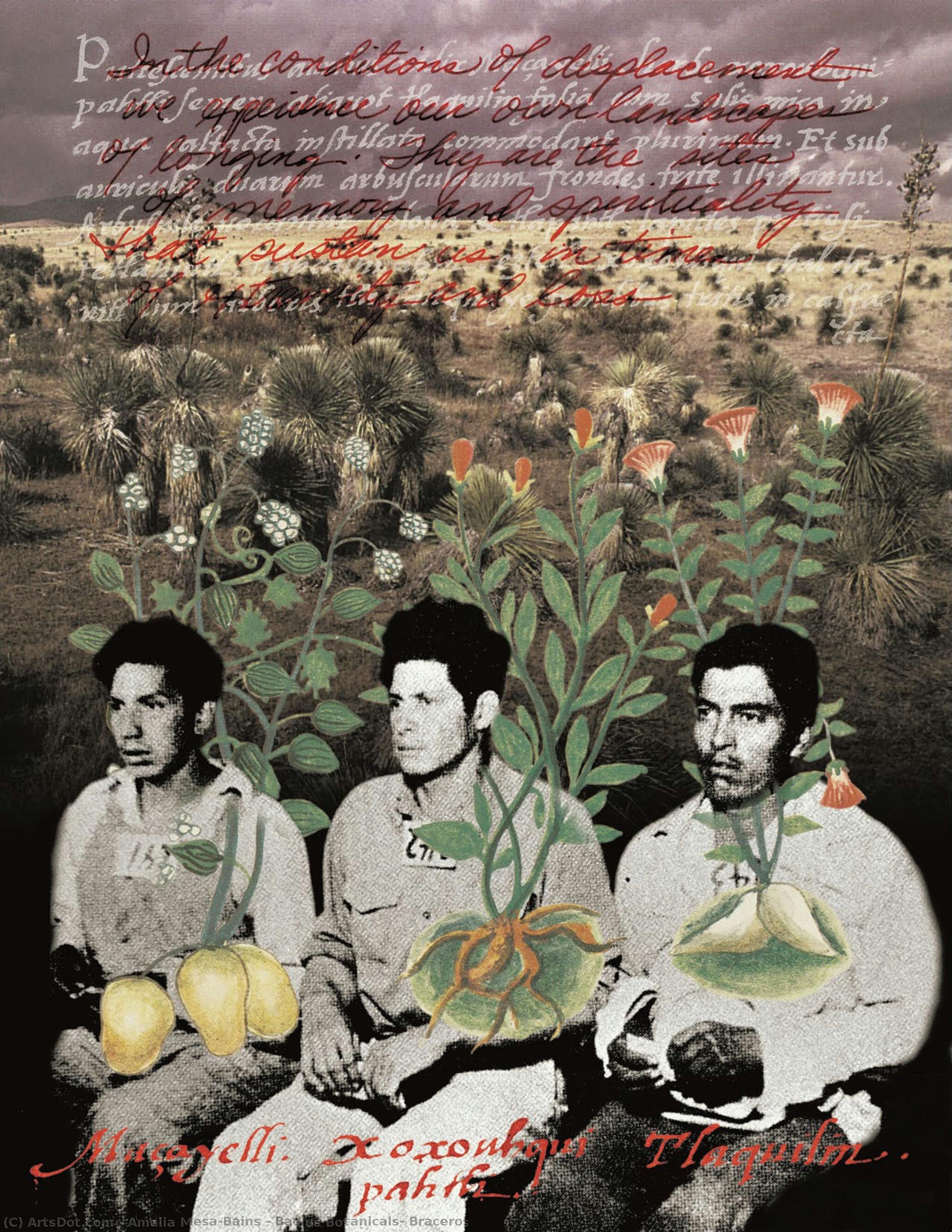 Badius Botanicals: Braceros — Amalia Mesa-bains