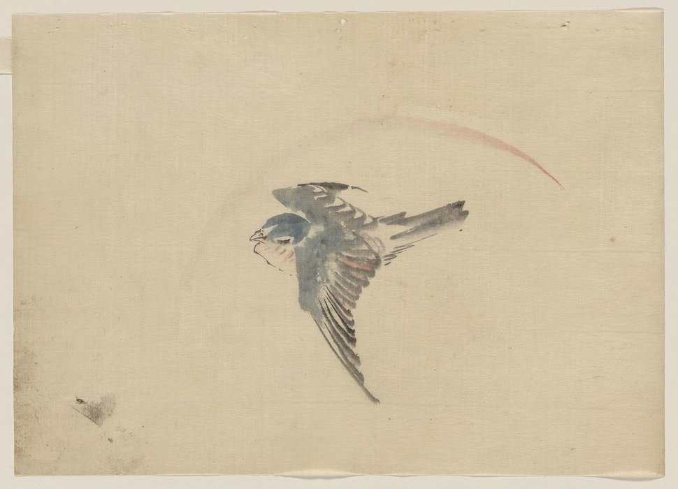 A Bird Flying To The Left, Seen From Above — Katsushika Hokusai
