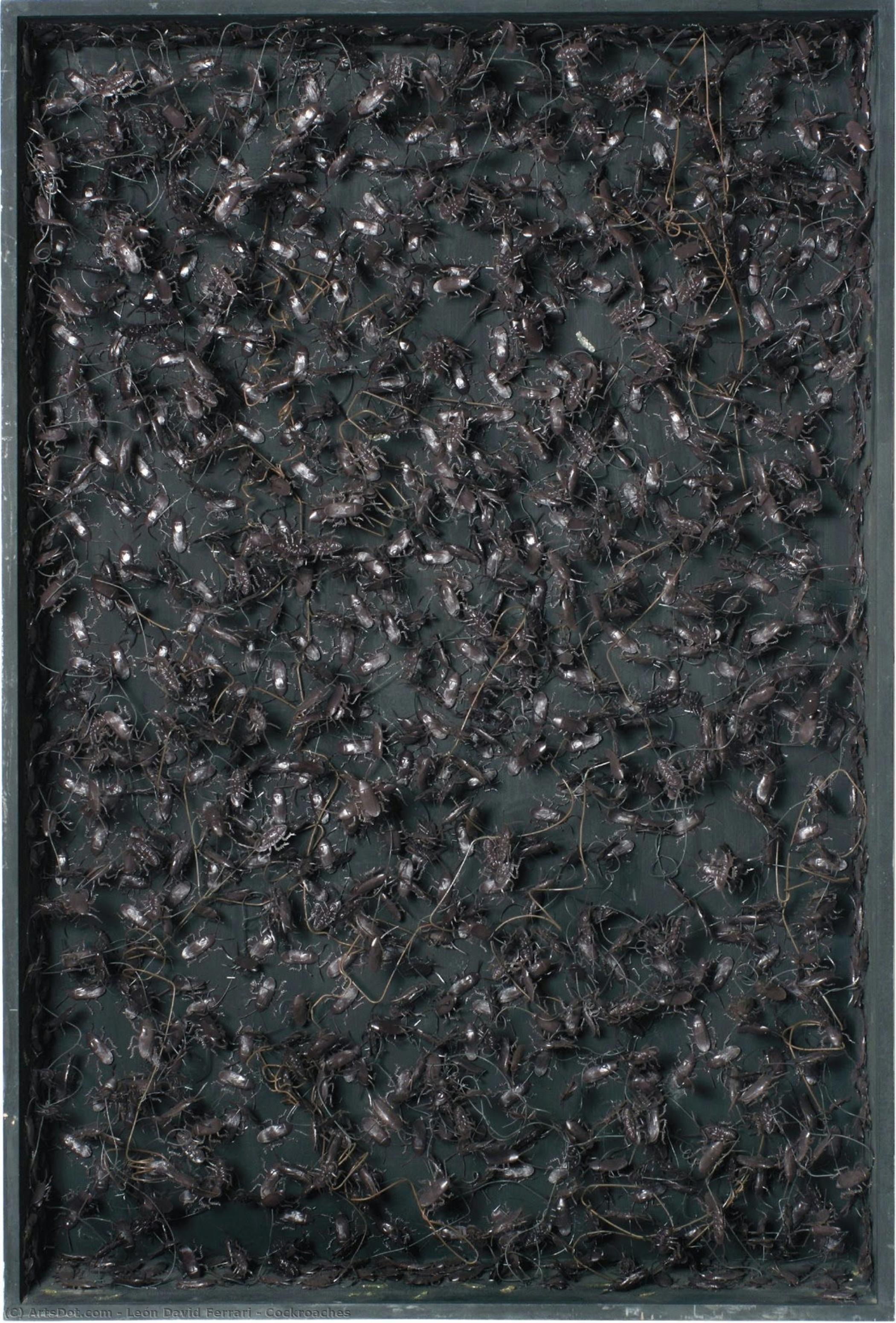 Cockroaches — León David Ferrari