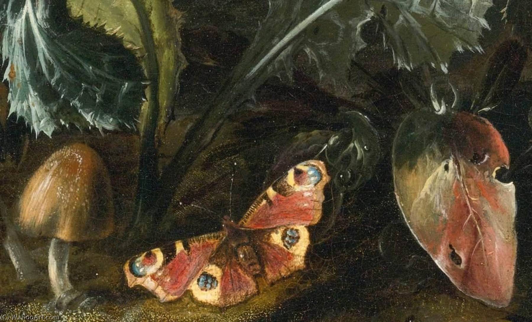 Nocturnal Forest Floor Still Life (detail) — Otto Marseus Van Schrieck