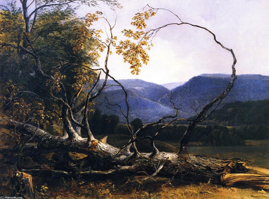Study From Nature, Stratton Notch, Vermont — Ашер Браун Дюран