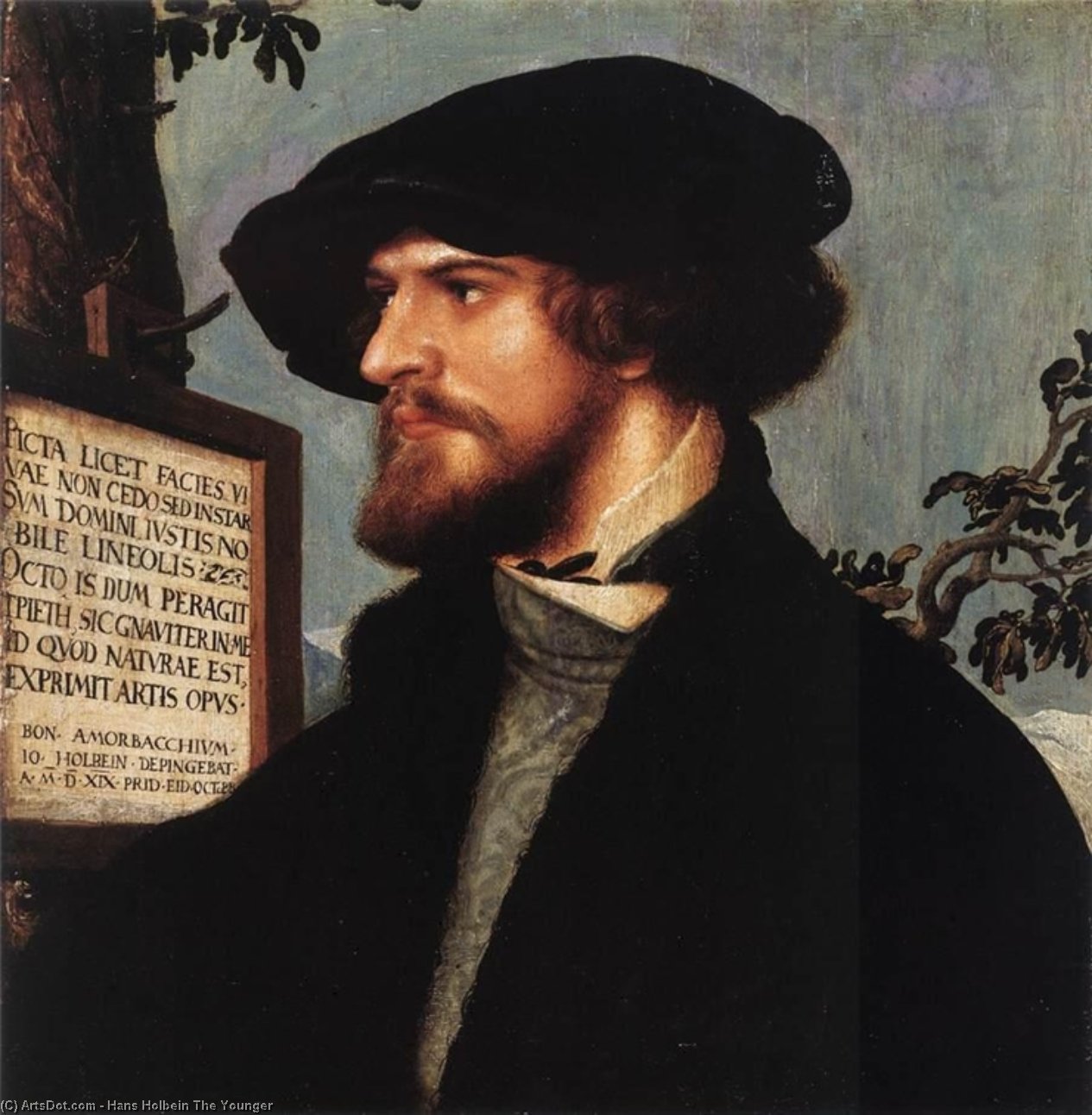 Porträt Von Bonifacius Amerbach — Hans Holbein Der Jüngere