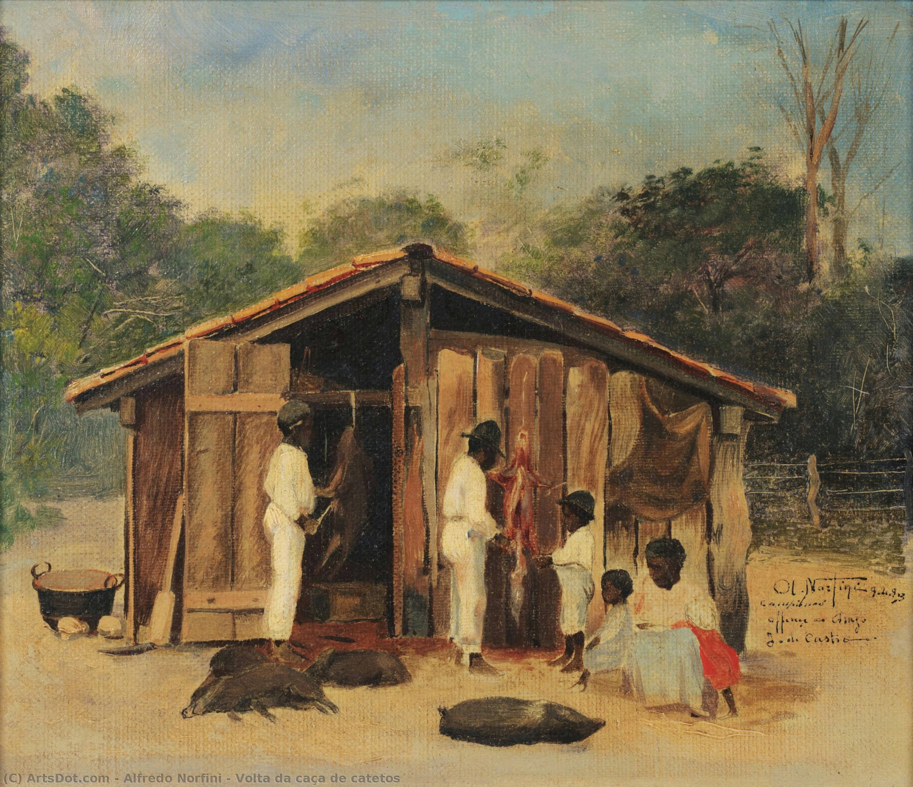 Volta Da Caça De Catetos — Alfredo Norfini