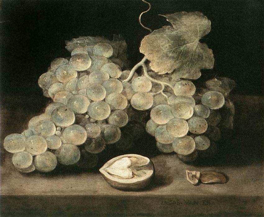 Grape With Walnut — Jacob Foppens Van Es