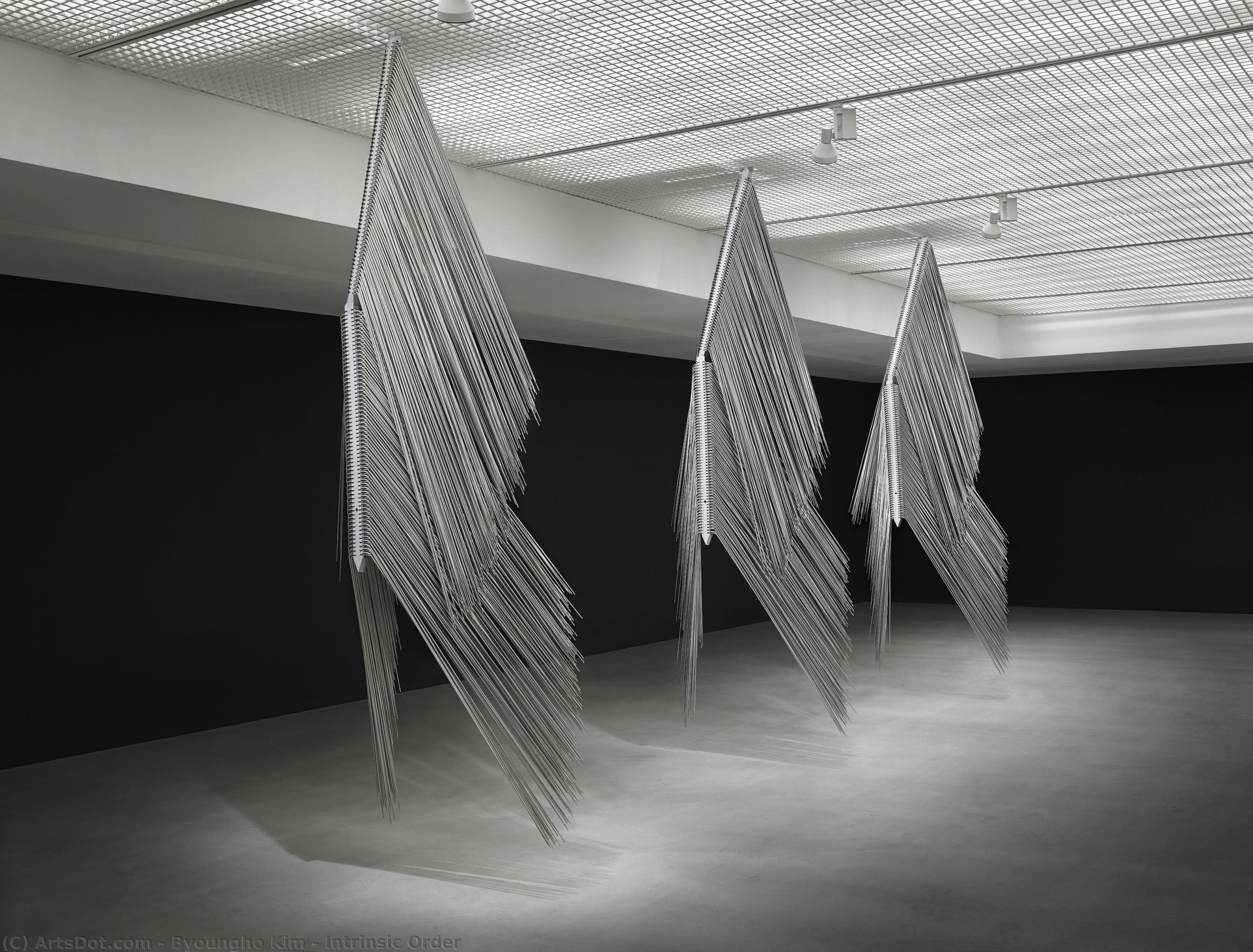 Intrinsic Order — Byoungho Kim