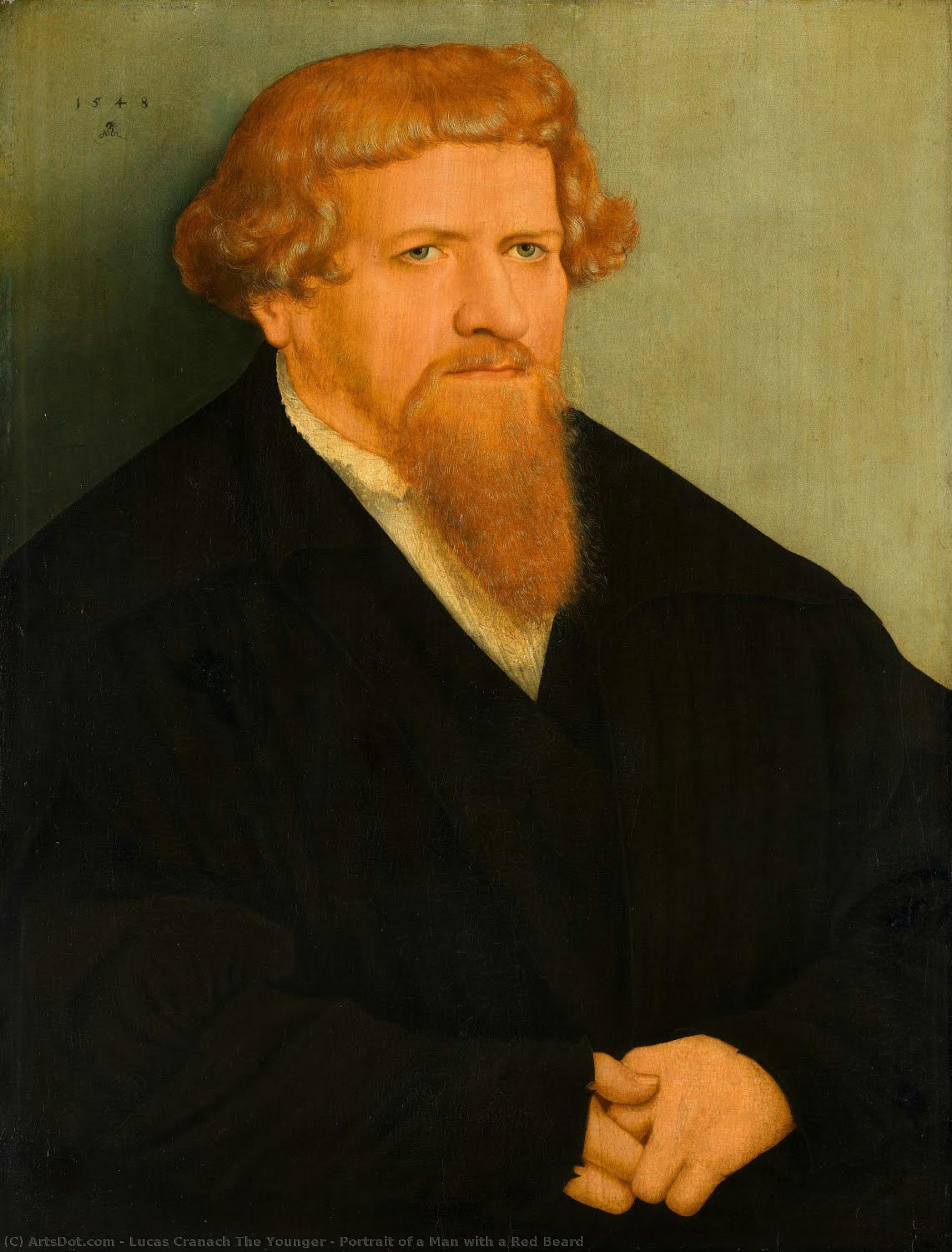Retrato De Un Hombre Con Barba Roja — Lucas Cranach El Joven