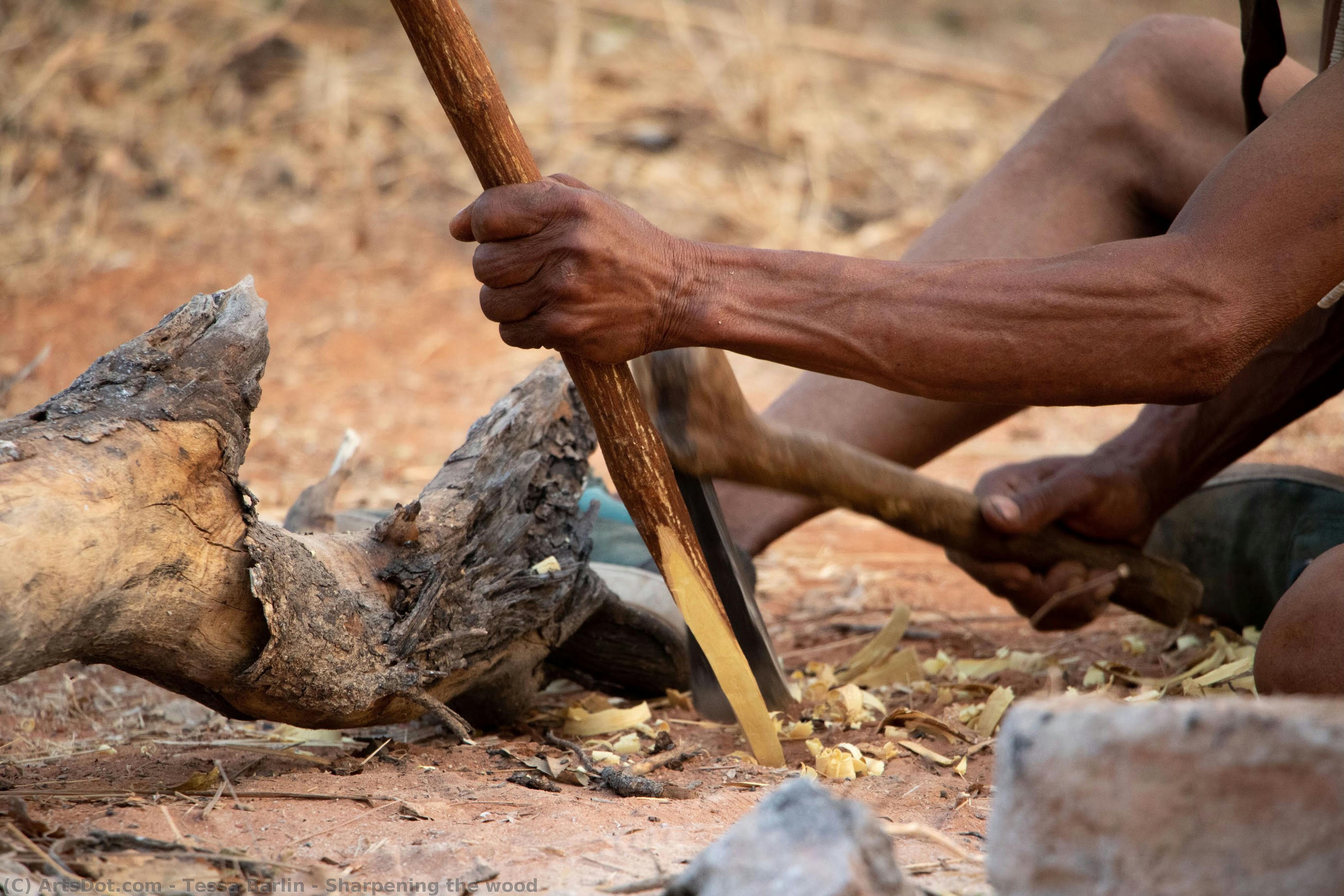 Sharpening The Wood — Tesa Barlin