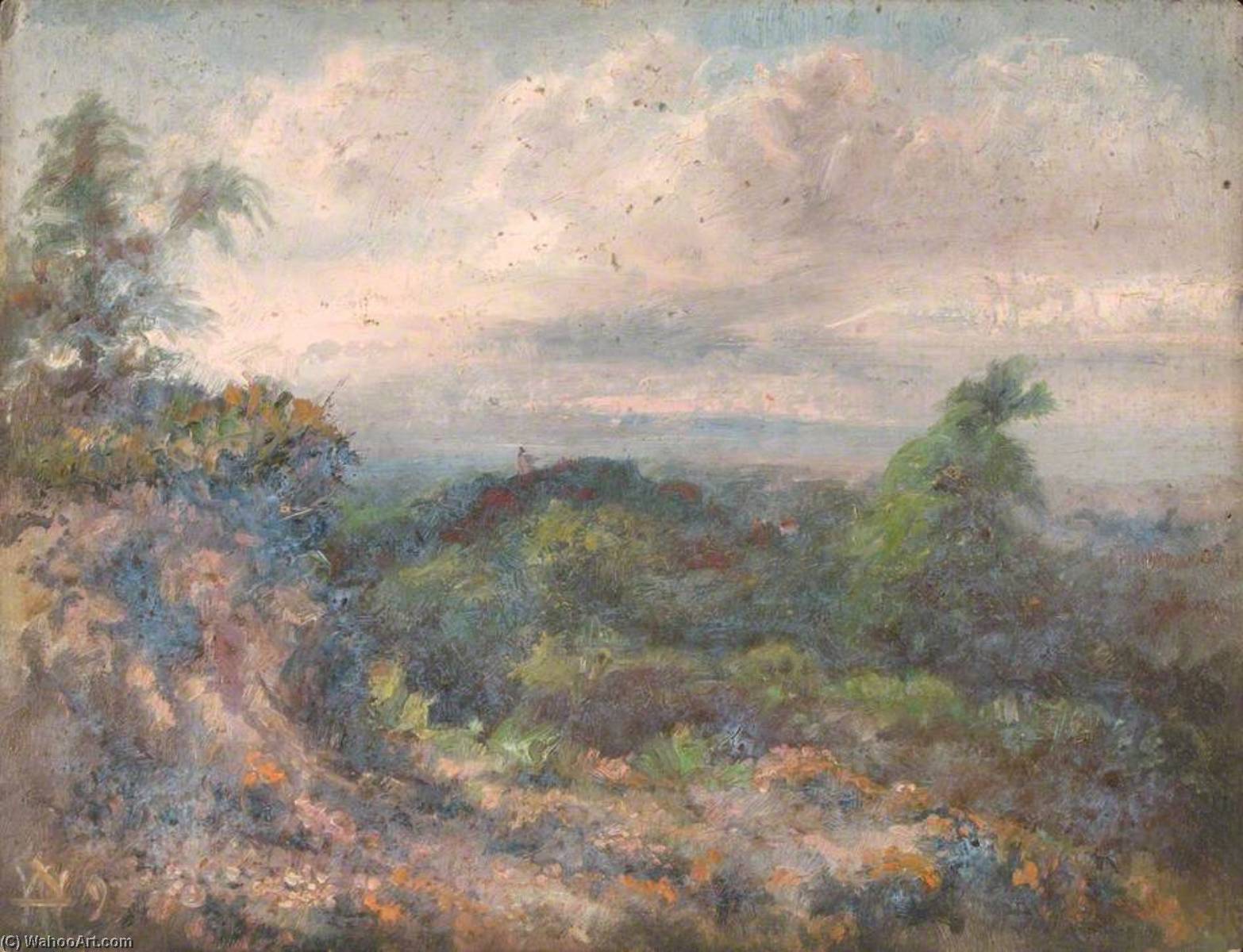 Addington Hills, Croydon, Surrey, 22 June 1892 — William Henry Hope