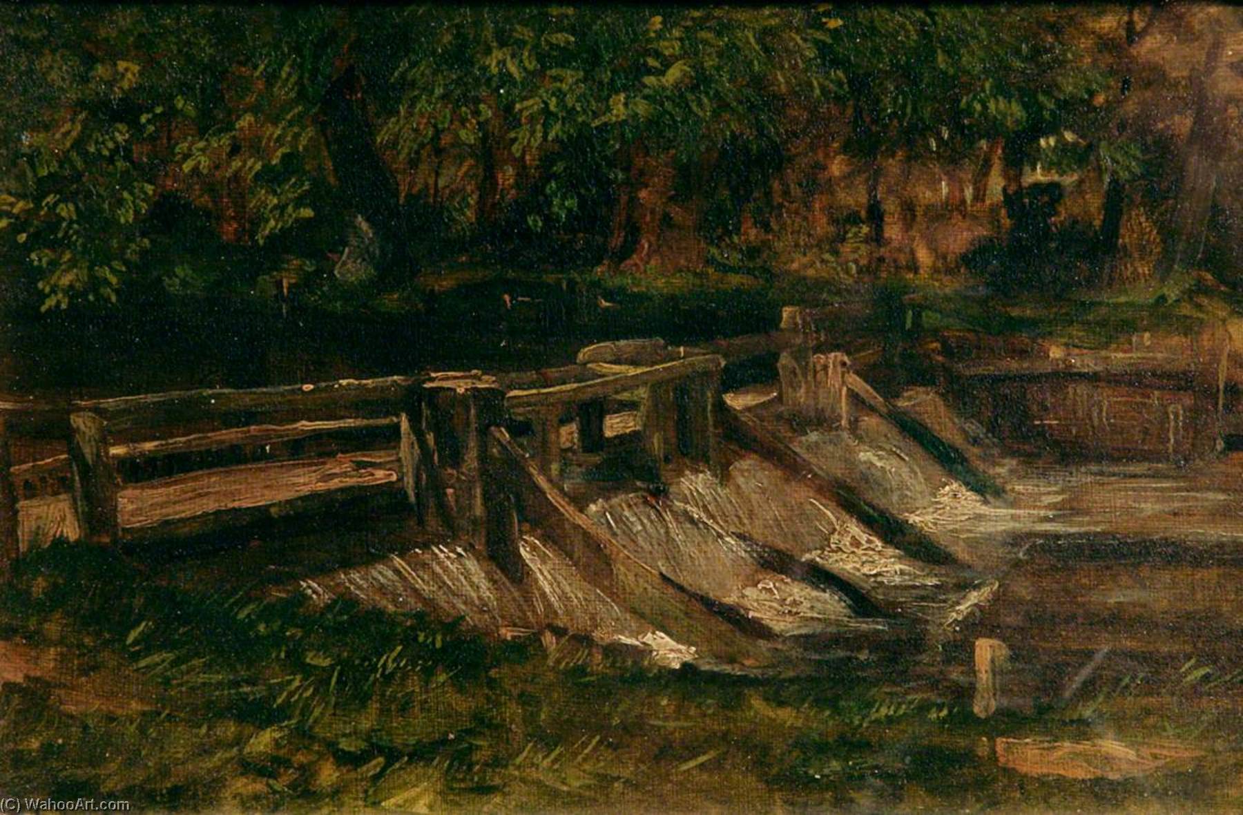 Woodland And Water (the Weir) — Miles Edmund Cotman