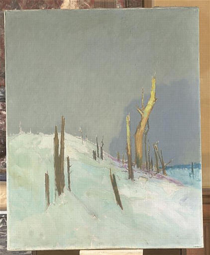 Vue Du Front, La Forêt Ravagée Par La Guerre — Espérance Léon Broquet