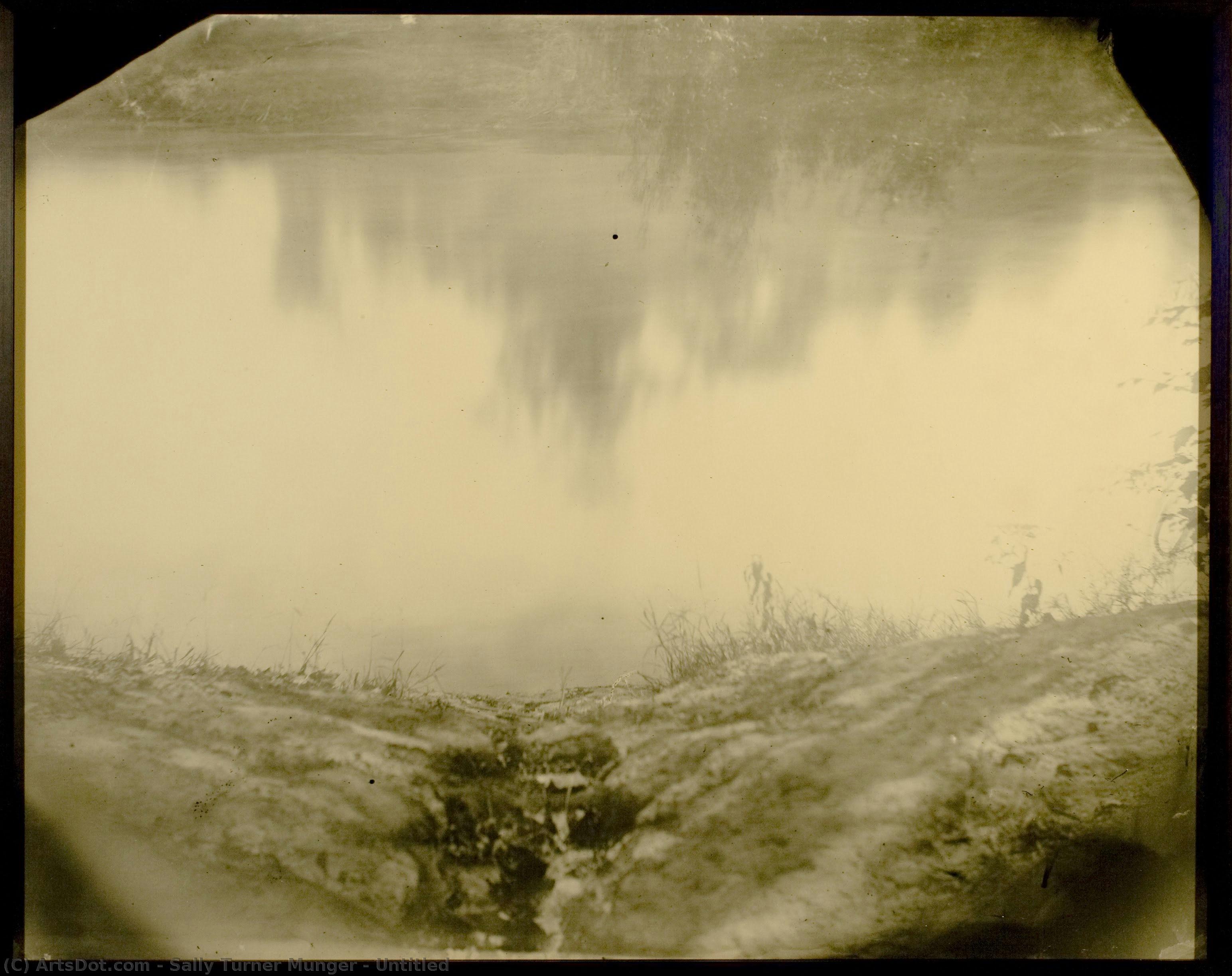 Untitled — Sally Turner Munger