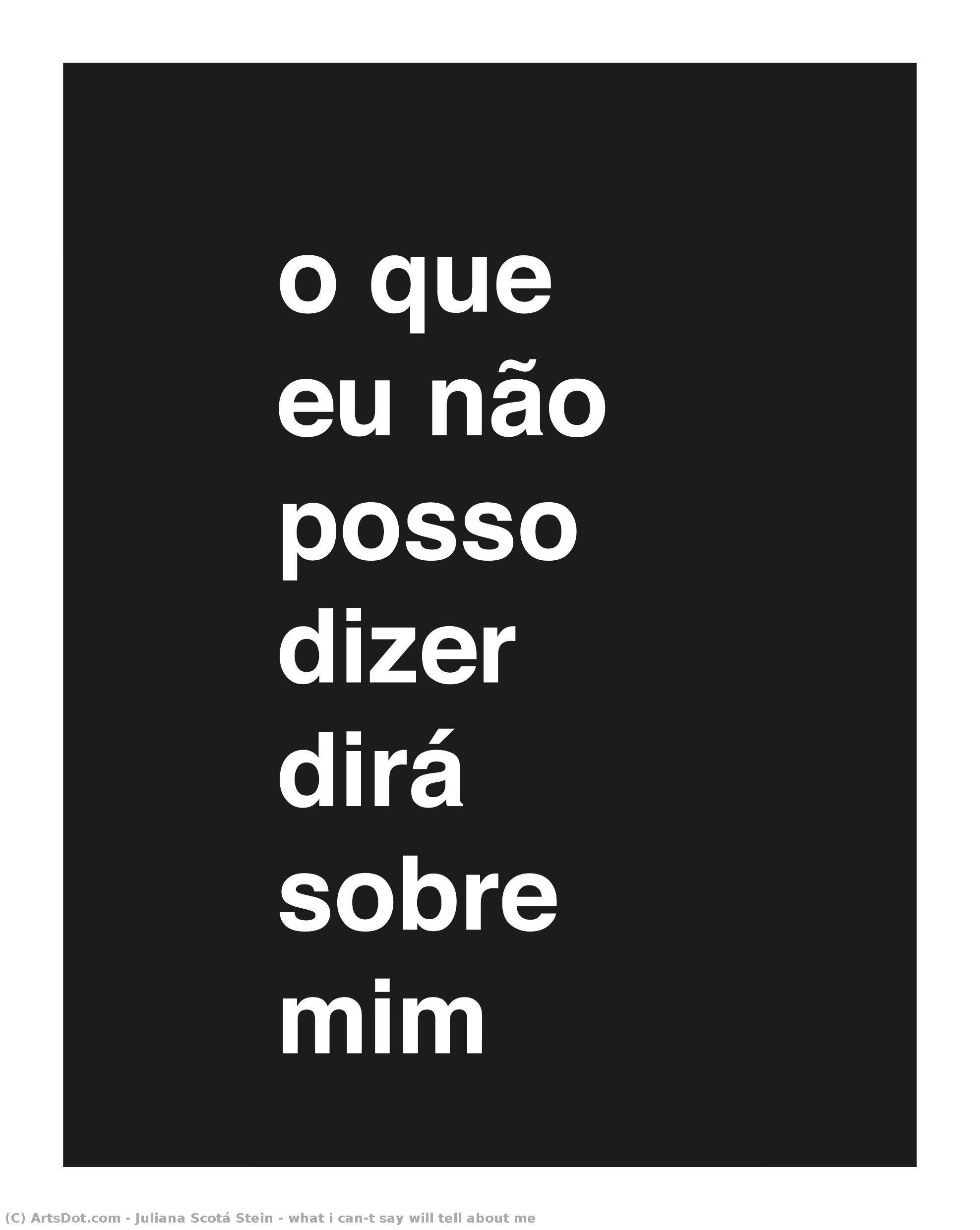 What I Can’t Say Will Tell About Me — Juliana Scotá Stein