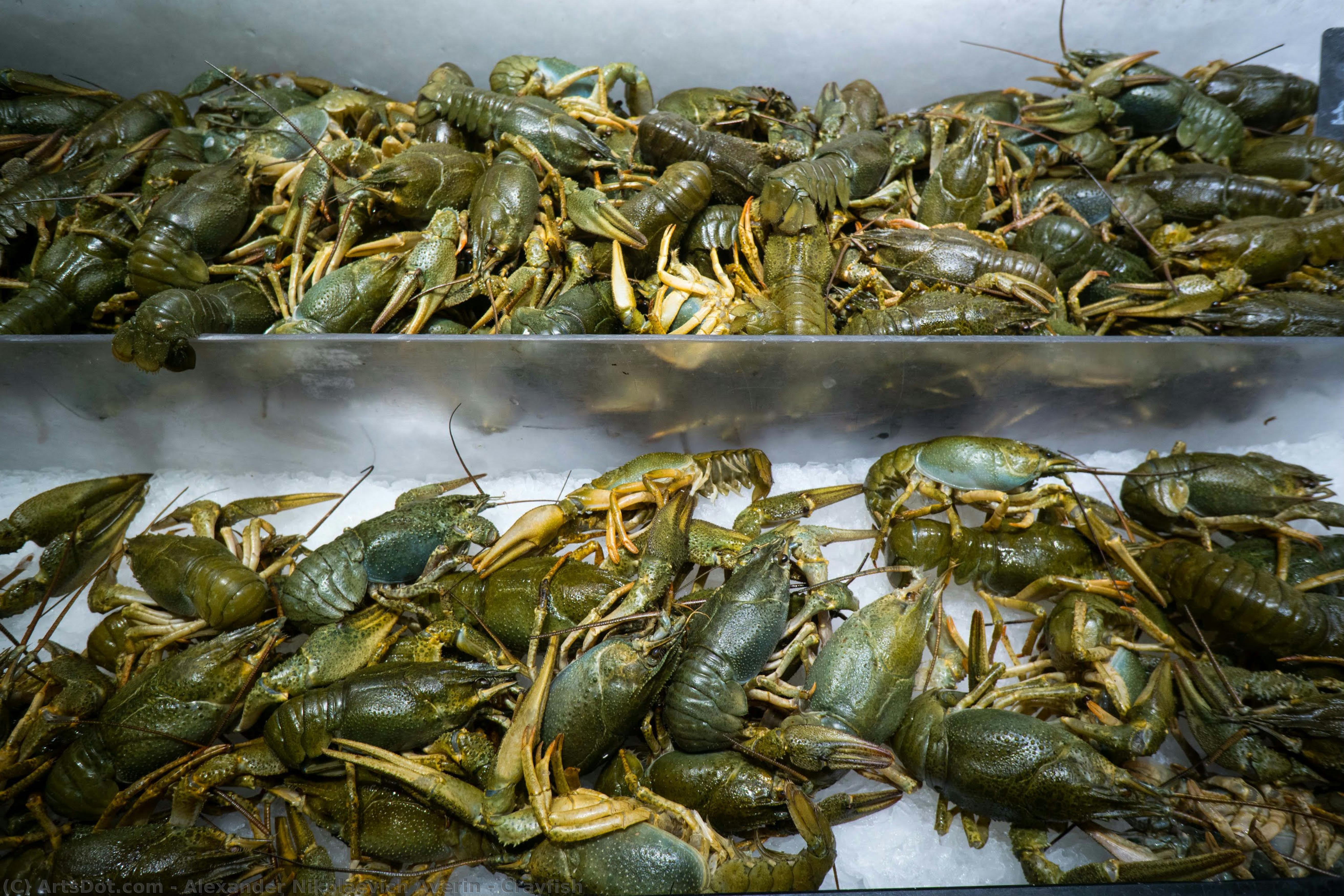 Crayfish — Alexander Nikolaevich Averin