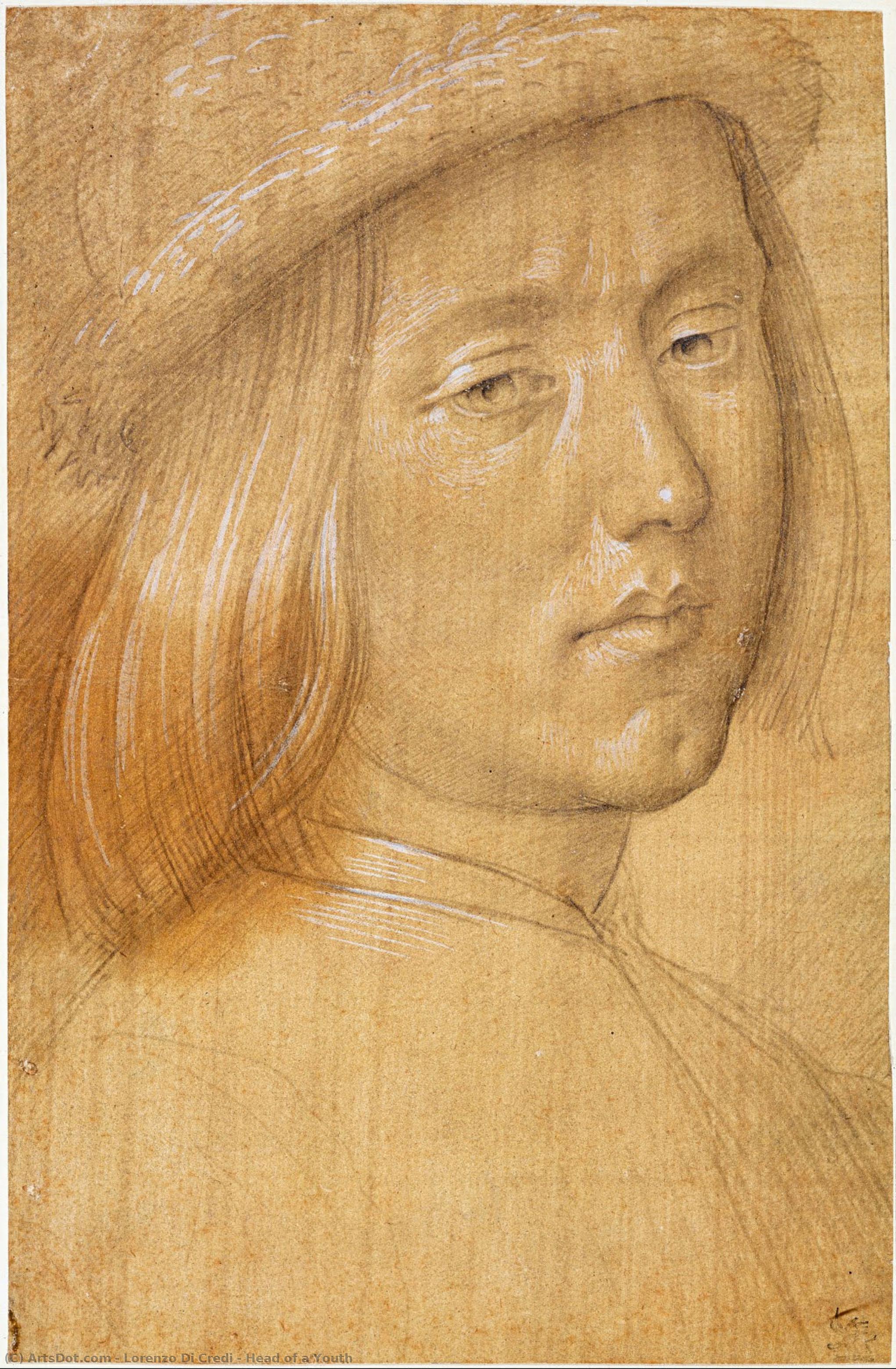 Head Of A Youth — Lorenzo Di Credi