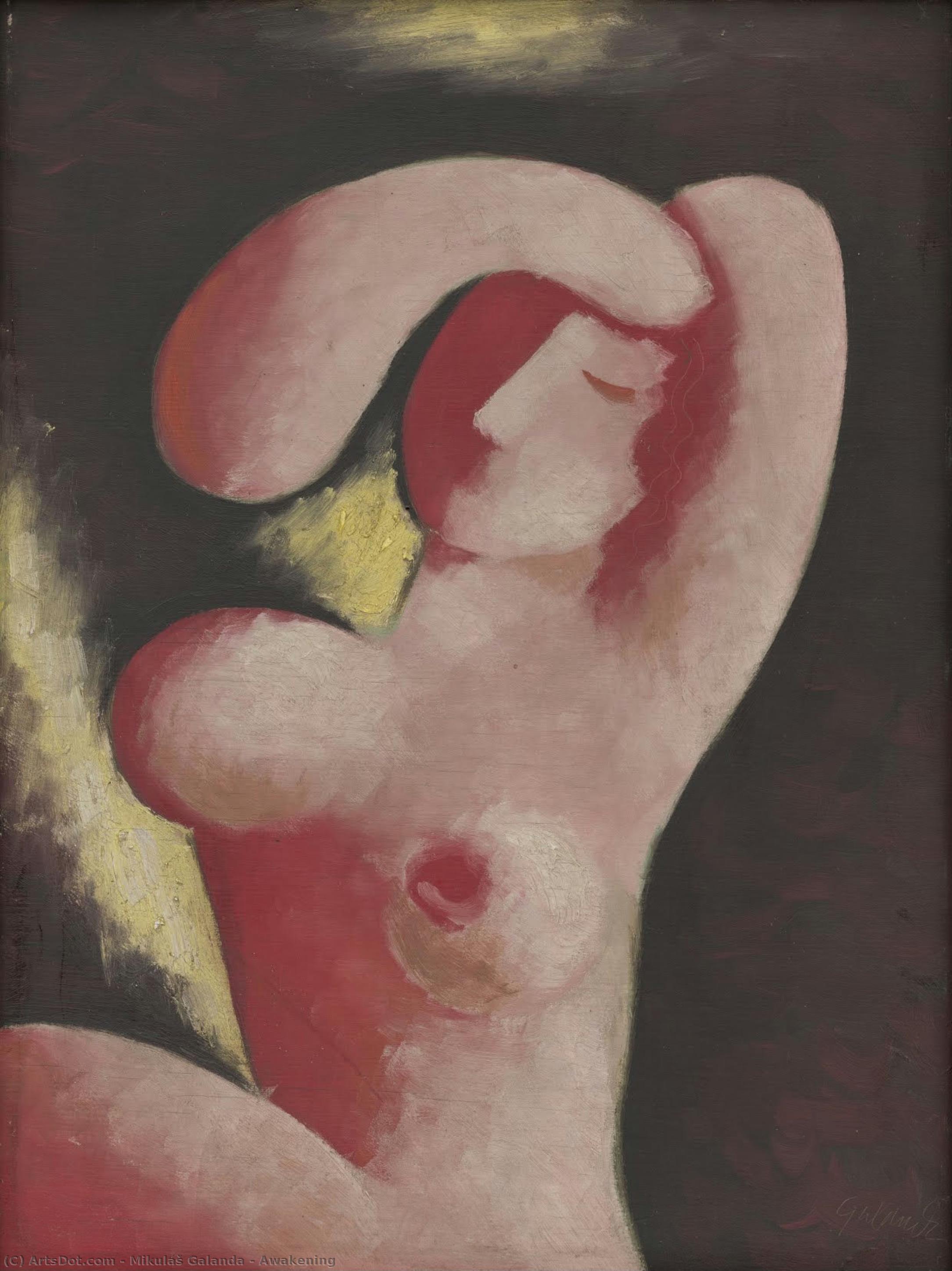 Awakening — Mikuláš Galanda