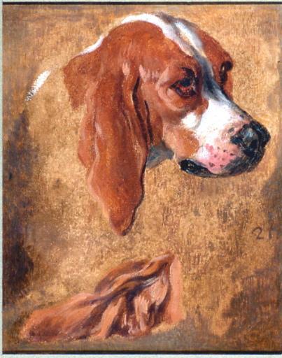 Gueule Et Oreille De Chien De Meute — Alexandre-françois Desportes