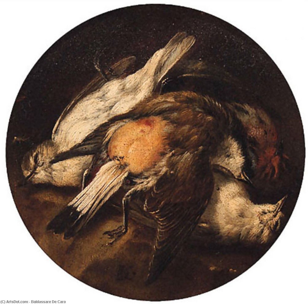 Ad Birds — Baldassarre De Caro