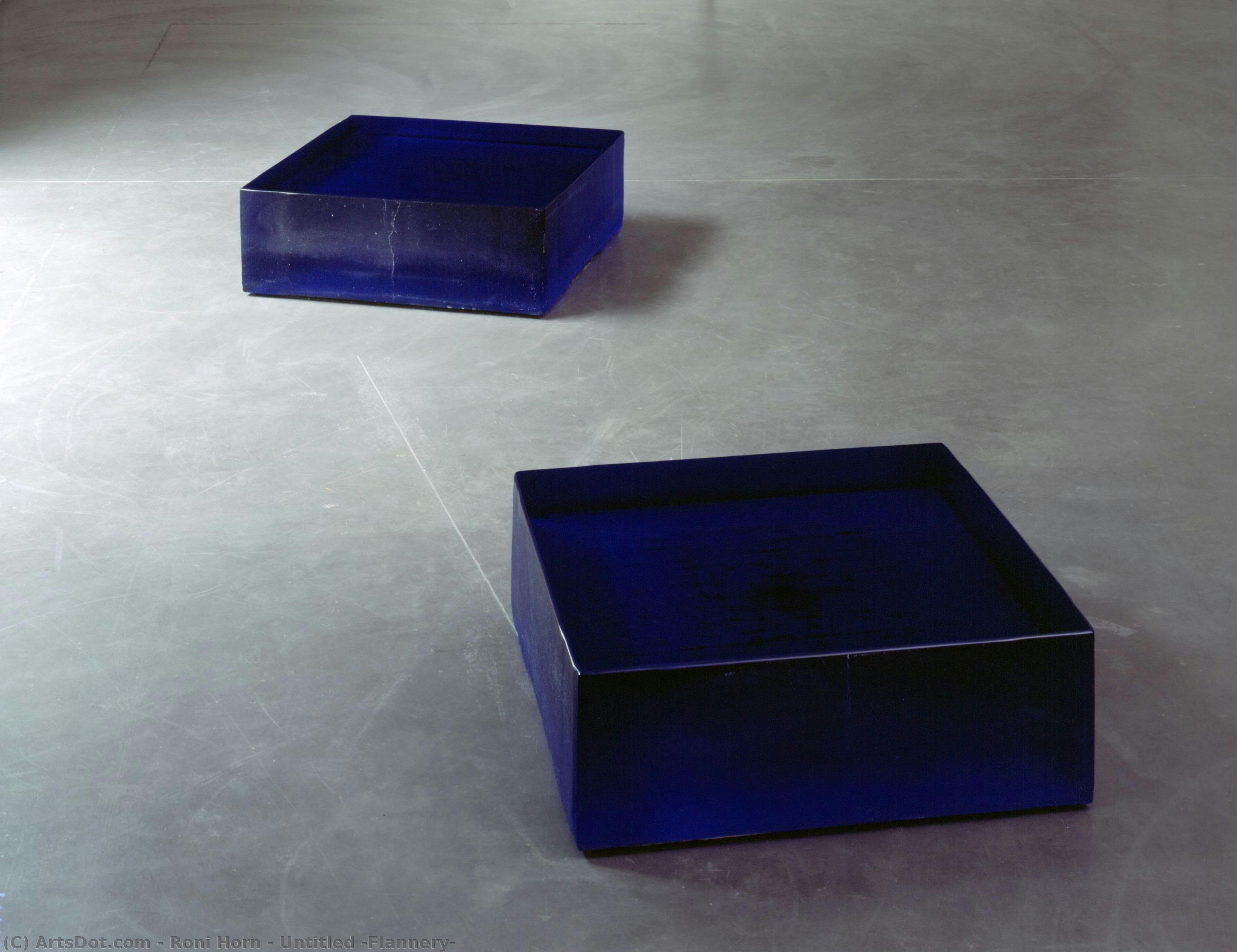 Untitled (flannery) — Roni Horn