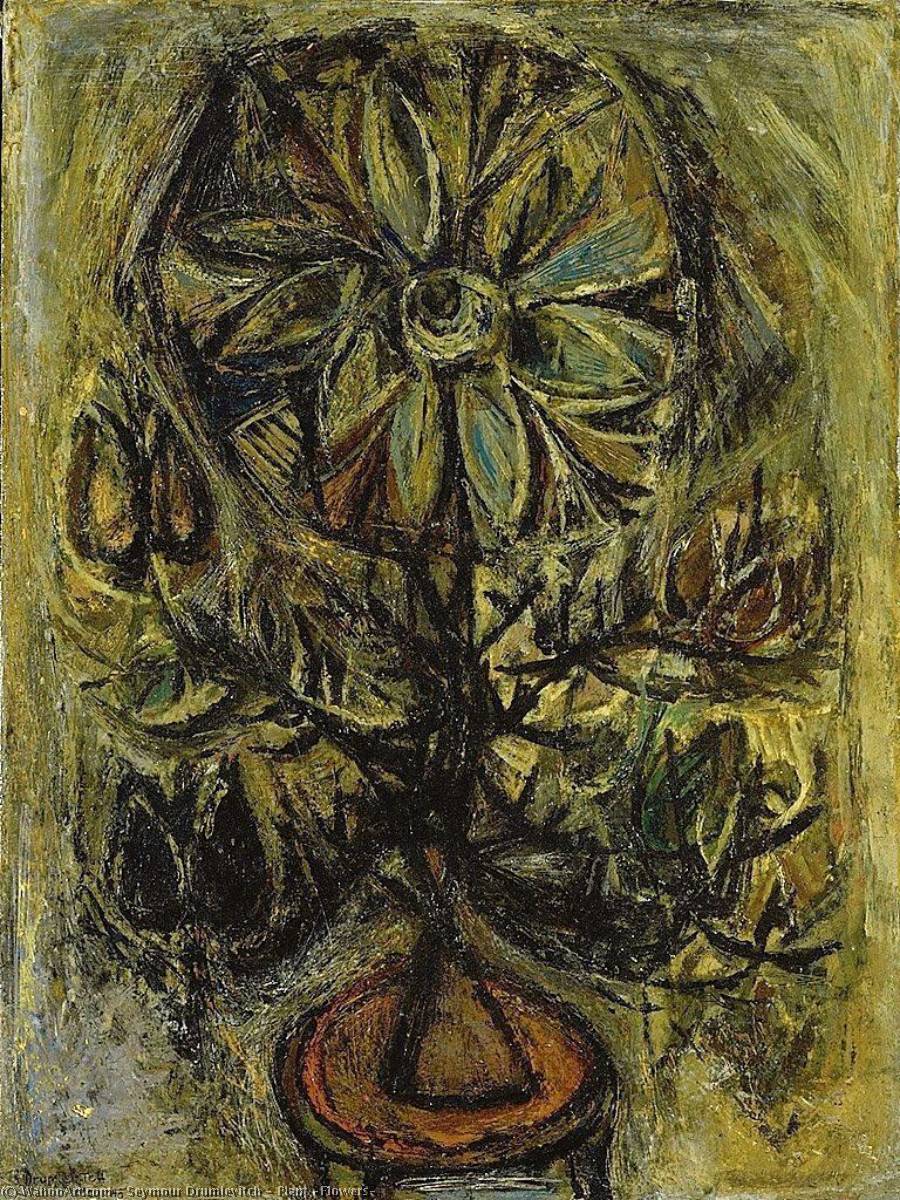 Plant (flowers) — Seymour Drumlevitch