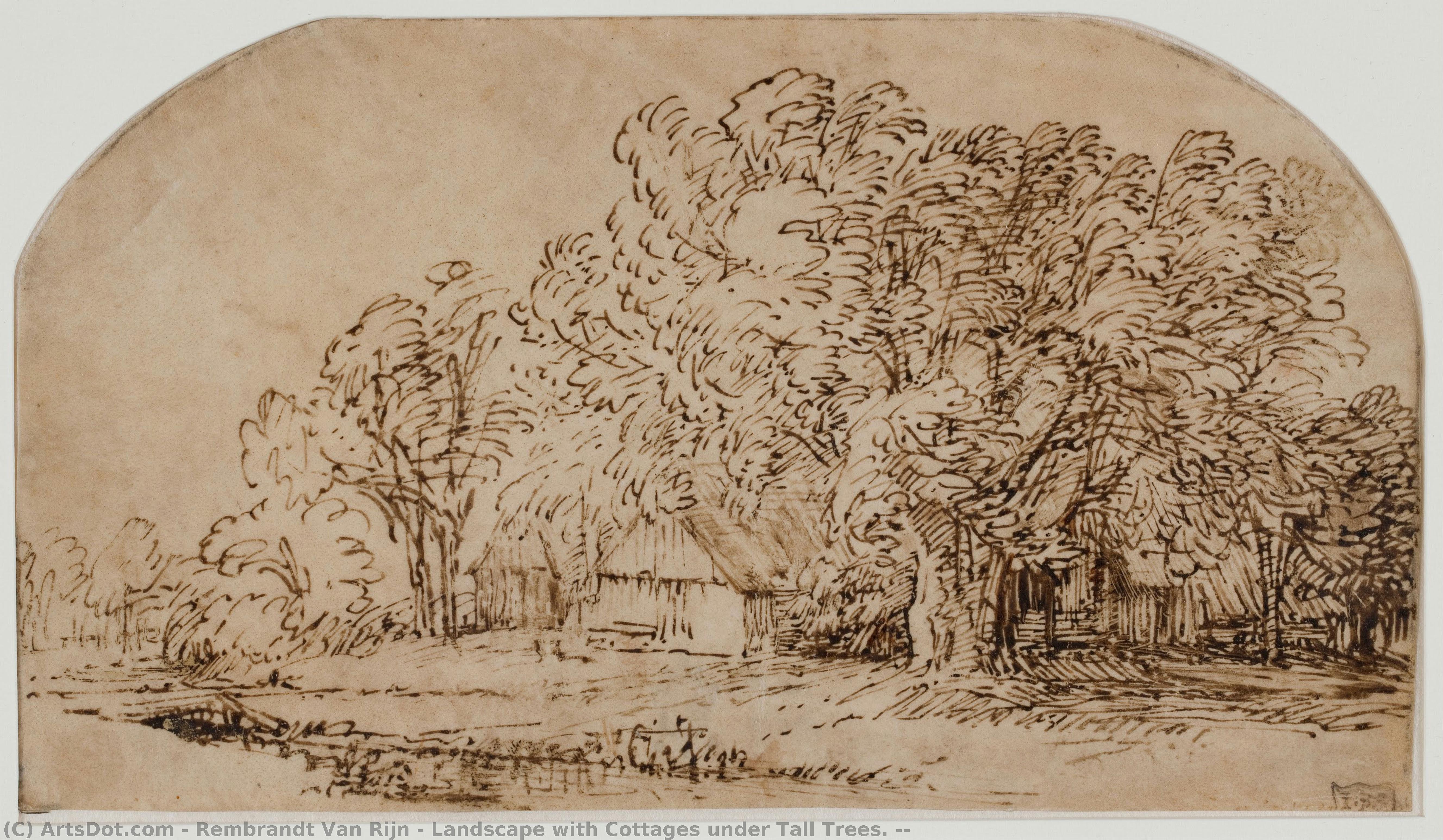 Landscape With Cottages Under Tall Trees. ( — Rembrandt Van Rijn
