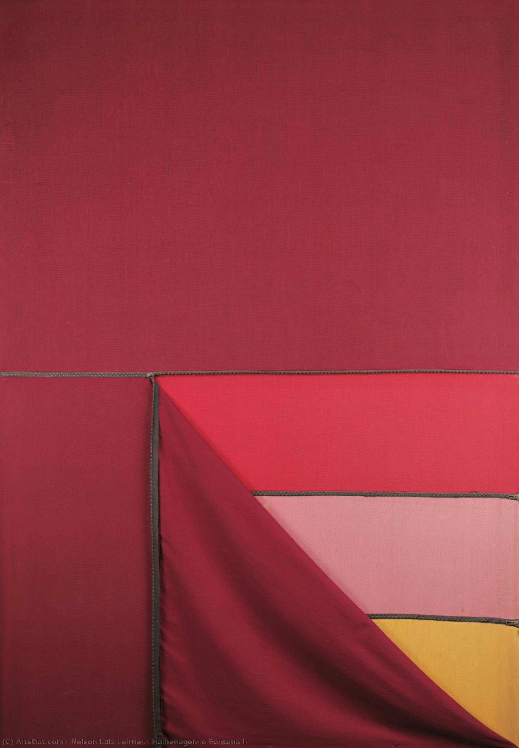 Homenagem A Fontana Ii — Nelson Luiz Leirner