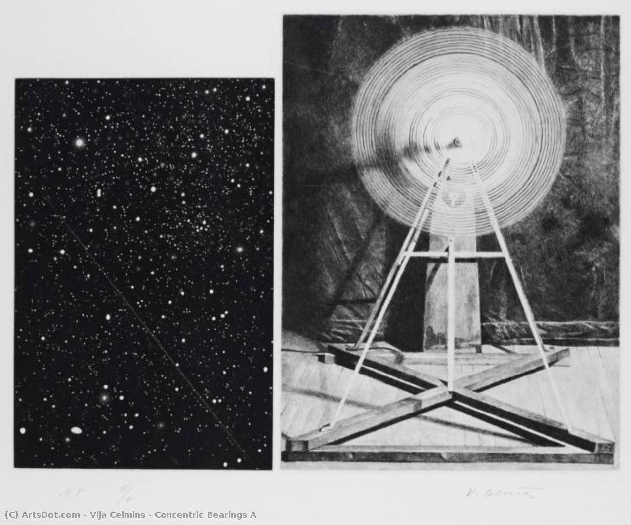 Concentric Bearings A — Vija Celmins