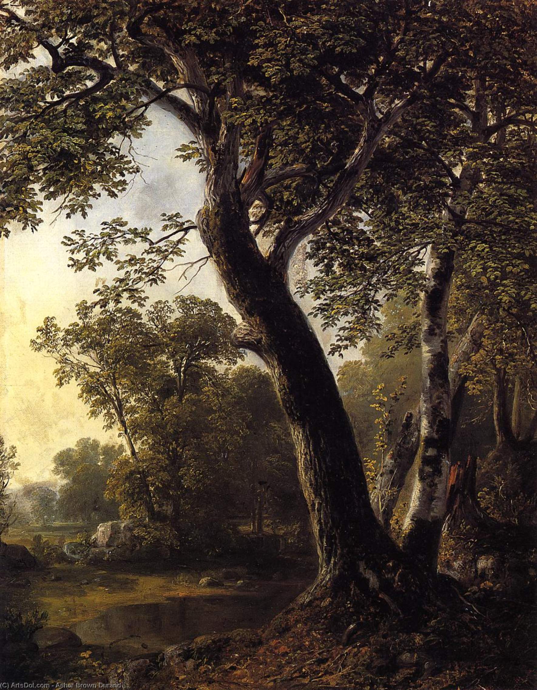 Study At Marbletown, Ulster County — Asher Brown Durand