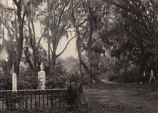 Buen Ventura, Savannah From The Album Photographic Views Of Sherman's Campaign — George Grey Barnard