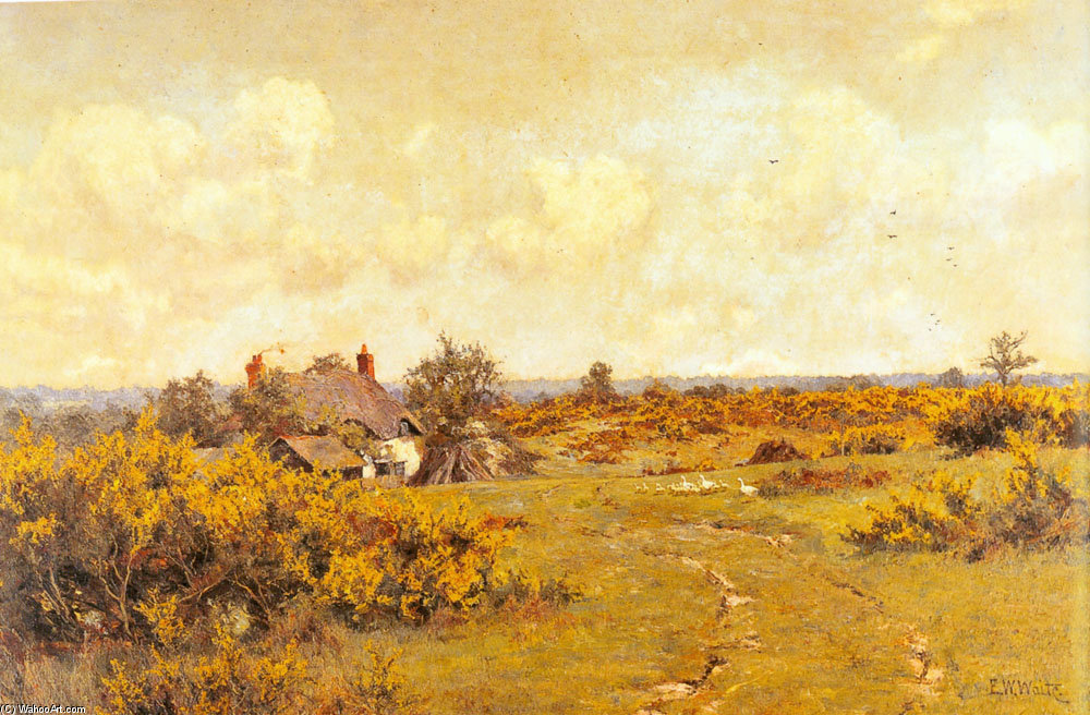 A Gaggle Of Geese On A Fram — Edward Wilkins Waite