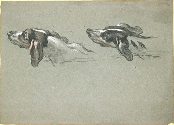 Two Heads Of Greyhounds, Turned To The Left — Jean-baptiste Oudry