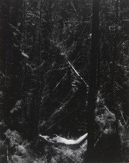 Nude In Dead Forest — Wynn Bullock
