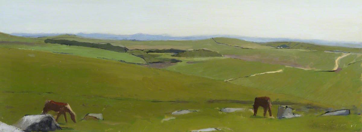 Bodmin Moor Ponies — Peter Fleming