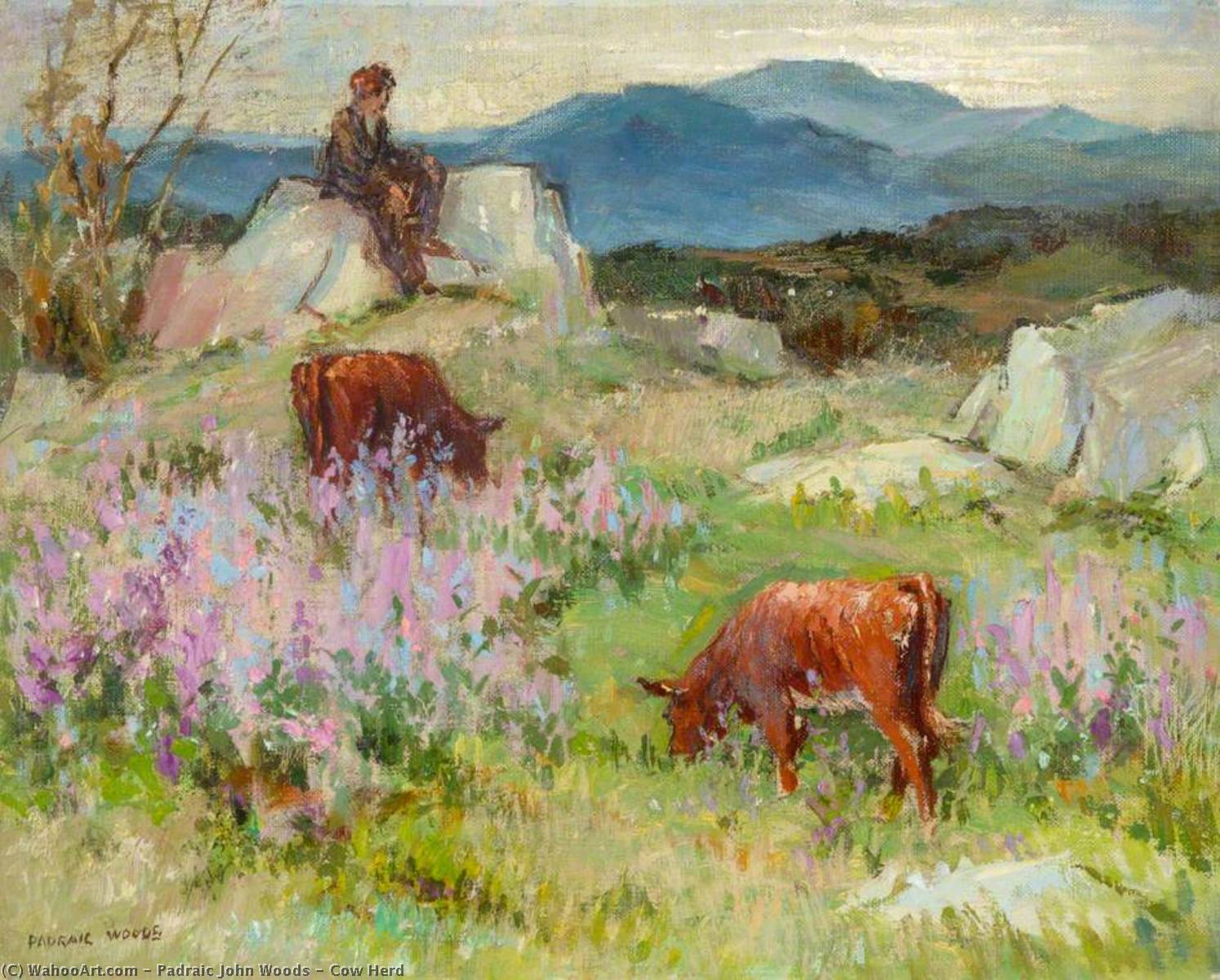 Cow Herd — Padraic John Woods