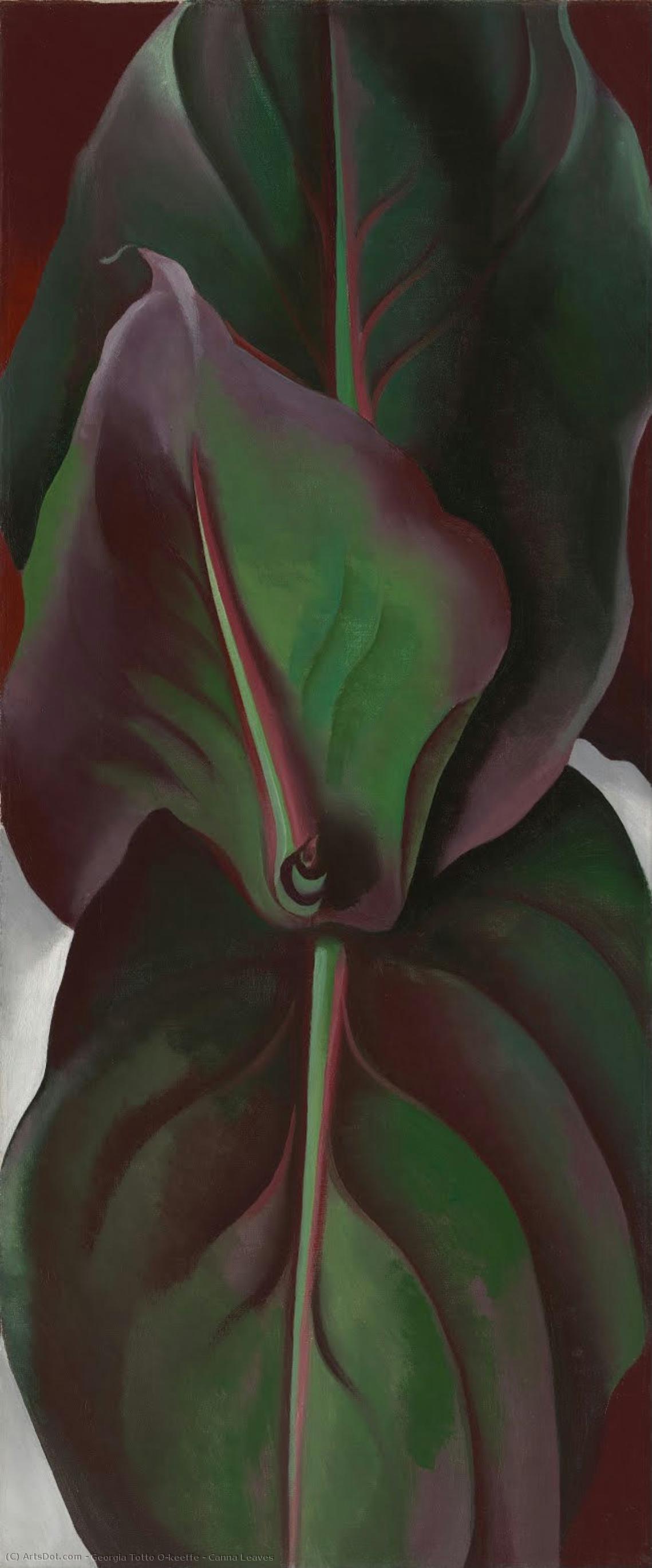 Canna Leaves — ジョージア・オキーフ
