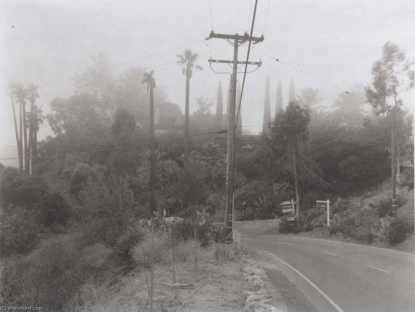 Saddle Peak Road Topanga (la1) — Madoka Takagi