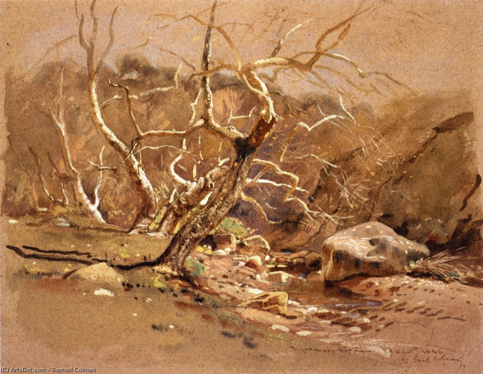 Sycamore Canyon — Сэмюэл Коулман