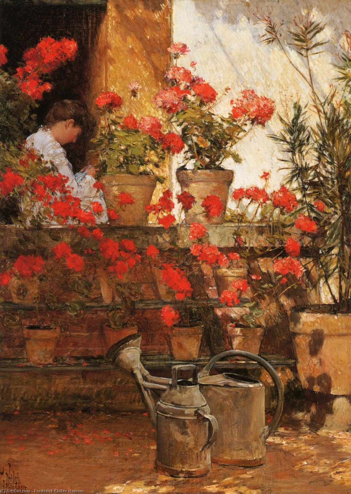 Geraniums — Гассам