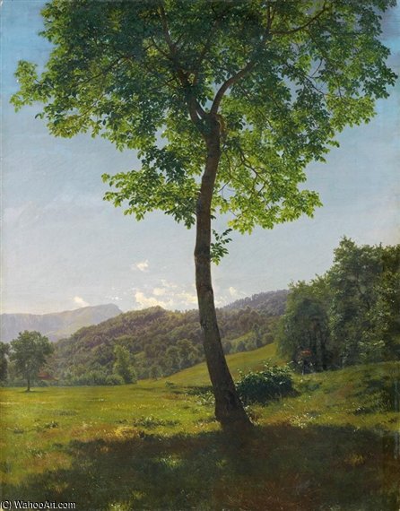 Blick Auf Das Stanserhorn View To The Stanserhorn — Robert Zund