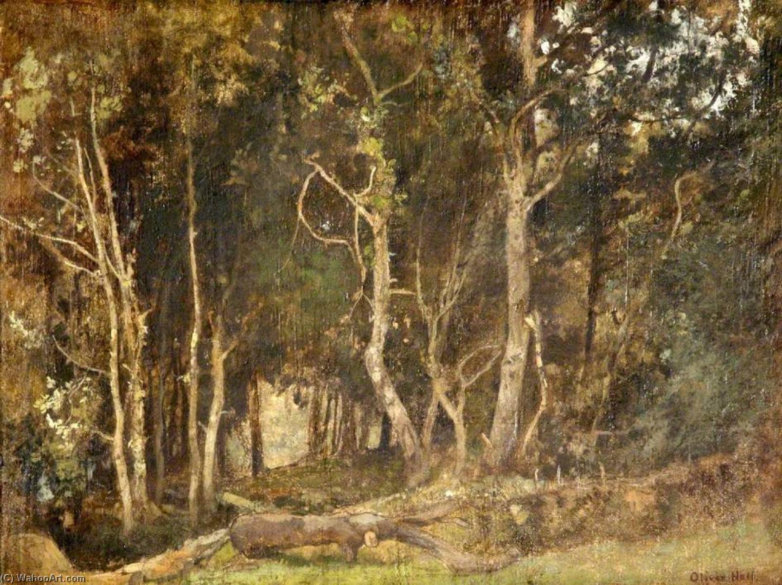 Entrance To Egdean Wood, West Sussex — Oliver Hall