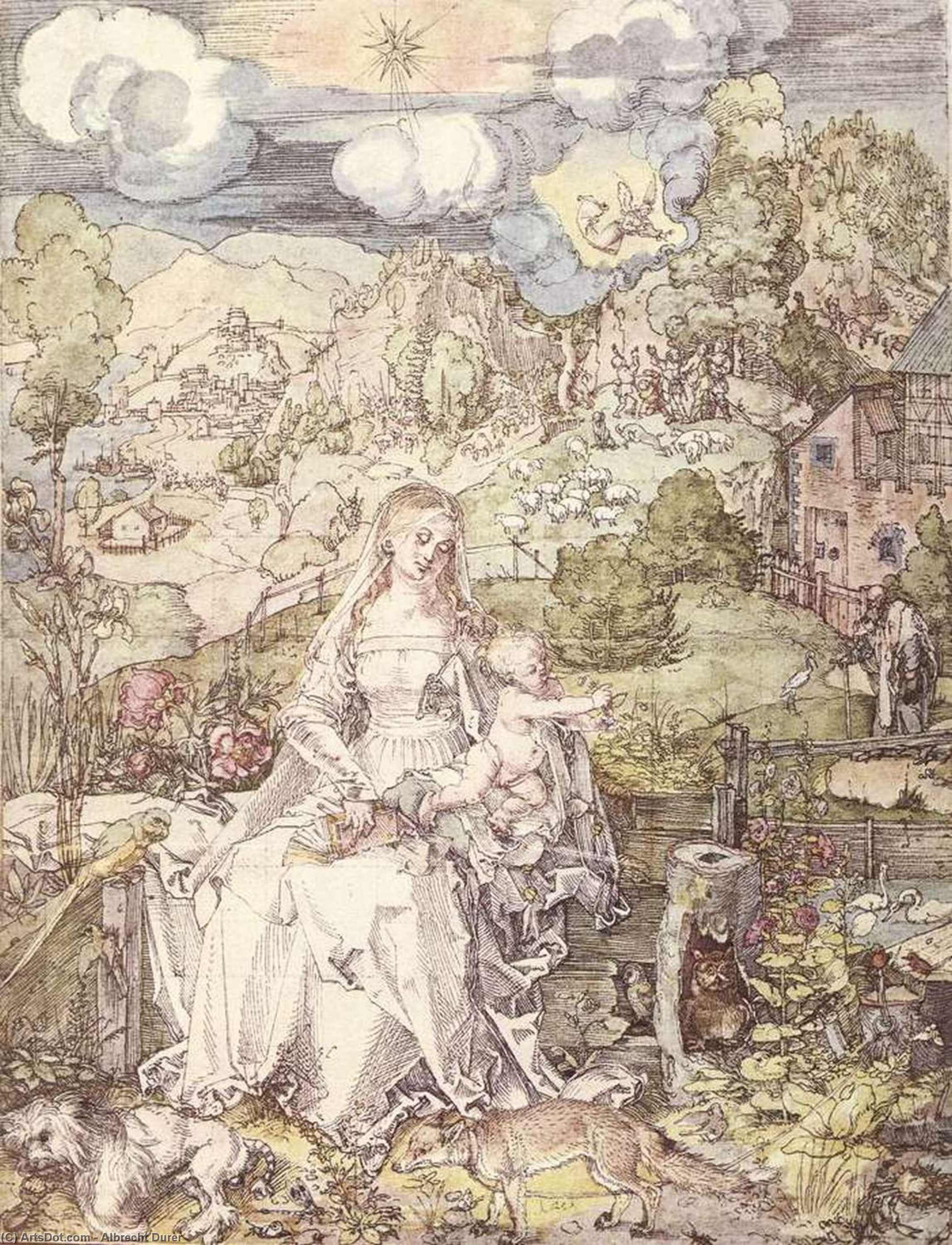 La Virgen Entre Una Multitud De Animales — Albrecht Dürer